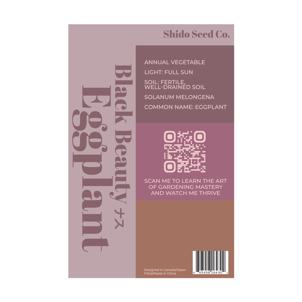 Black Beauty Eggplant Vegetable Seeds Packet - Chive Ceramics Studio - Seeds - Chive Ceramics Studio