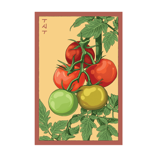 Beefsteak Tomato seed packet - Shido Seeds non-GMO vacuum-sealed woodblock design
