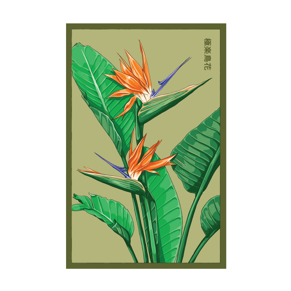 Bird of Paradise seed packet - Shido Seeds non-GMO vacuum-sealed woodblock design