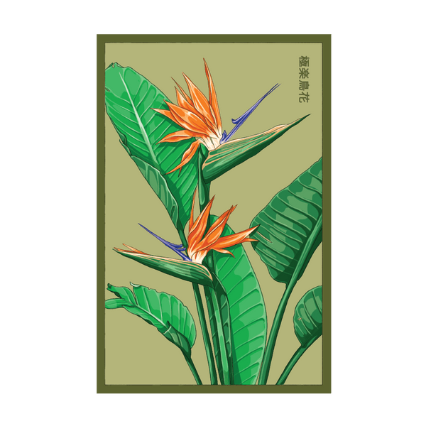 Bird of Paradise seed packet - Shido Seeds non-GMO vacuum-sealed woodblock design