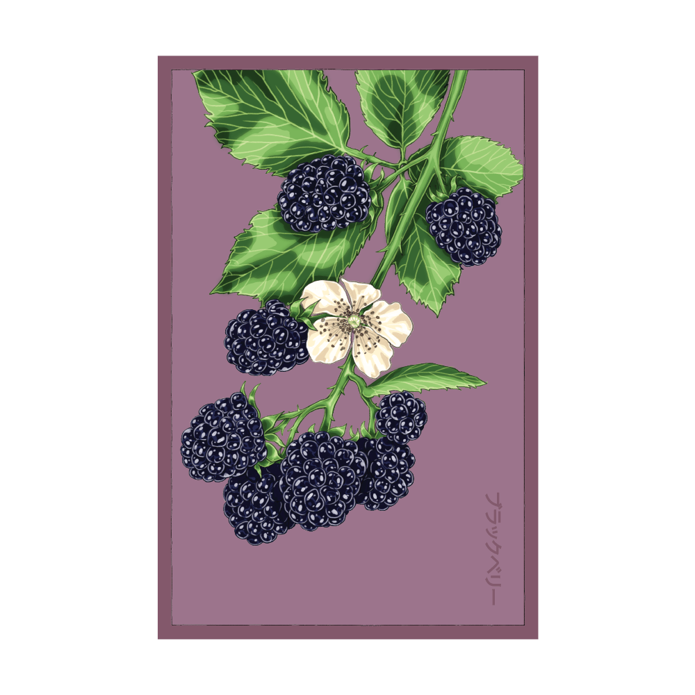 Blackberry seed packet - Shido Seeds non-GMO vacuum-sealed woodblock design