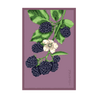 Blackberry Flower Seeds Packet - Chive Ceramics Studio - Seeds - Chive Ceramics Studio