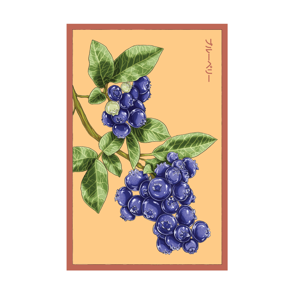 Blueberry seed packet - Shido Seeds non-GMO vacuum-sealed woodblock design