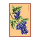 Blueberry Flower Seeds Packet - Chive Ceramics Studio - Seeds - Chive Ceramics Studio