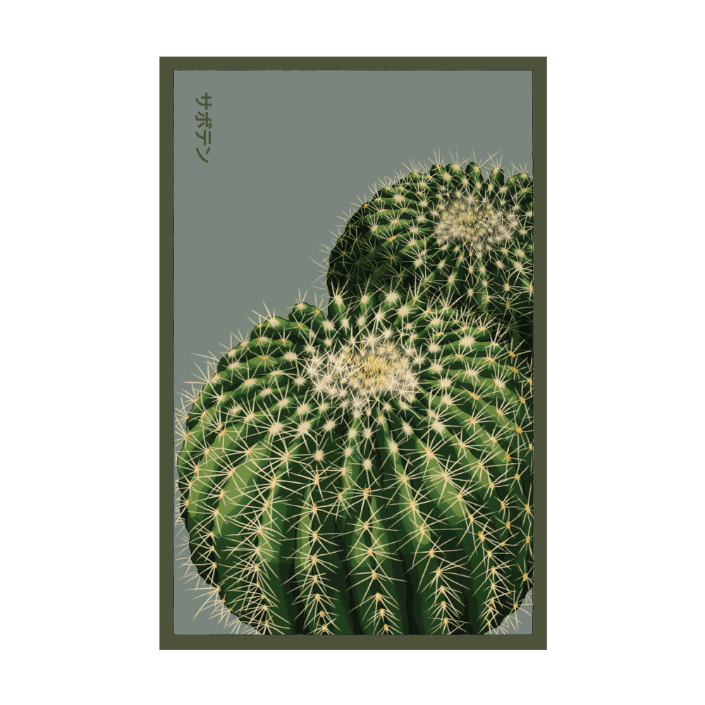 Cactus indoor seed packet - Shido Seeds non-GMO vacuum-sealed woodblock design