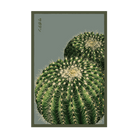 Cactus Indoor Seeds Packet - Chive Ceramics Studio - Seeds - Chive Ceramics Studio