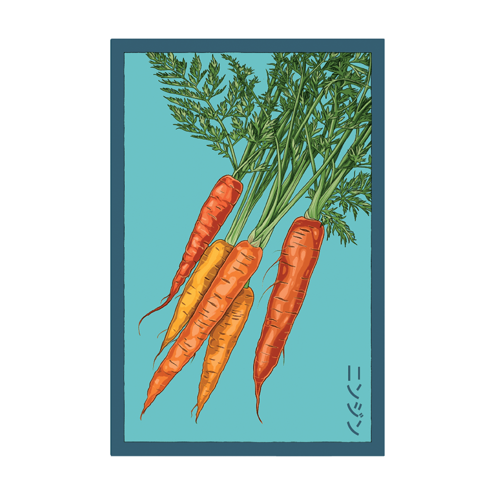 Carrot Vegetable Seeds Packet - Chive Ceramics Studio - Seeds - Chive Ceramics Studio