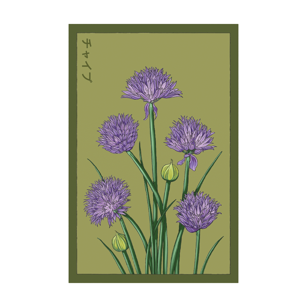 Chives Herb Seeds Packet - Chive Ceramics Studio - Seeds - Chive Ceramics Studio