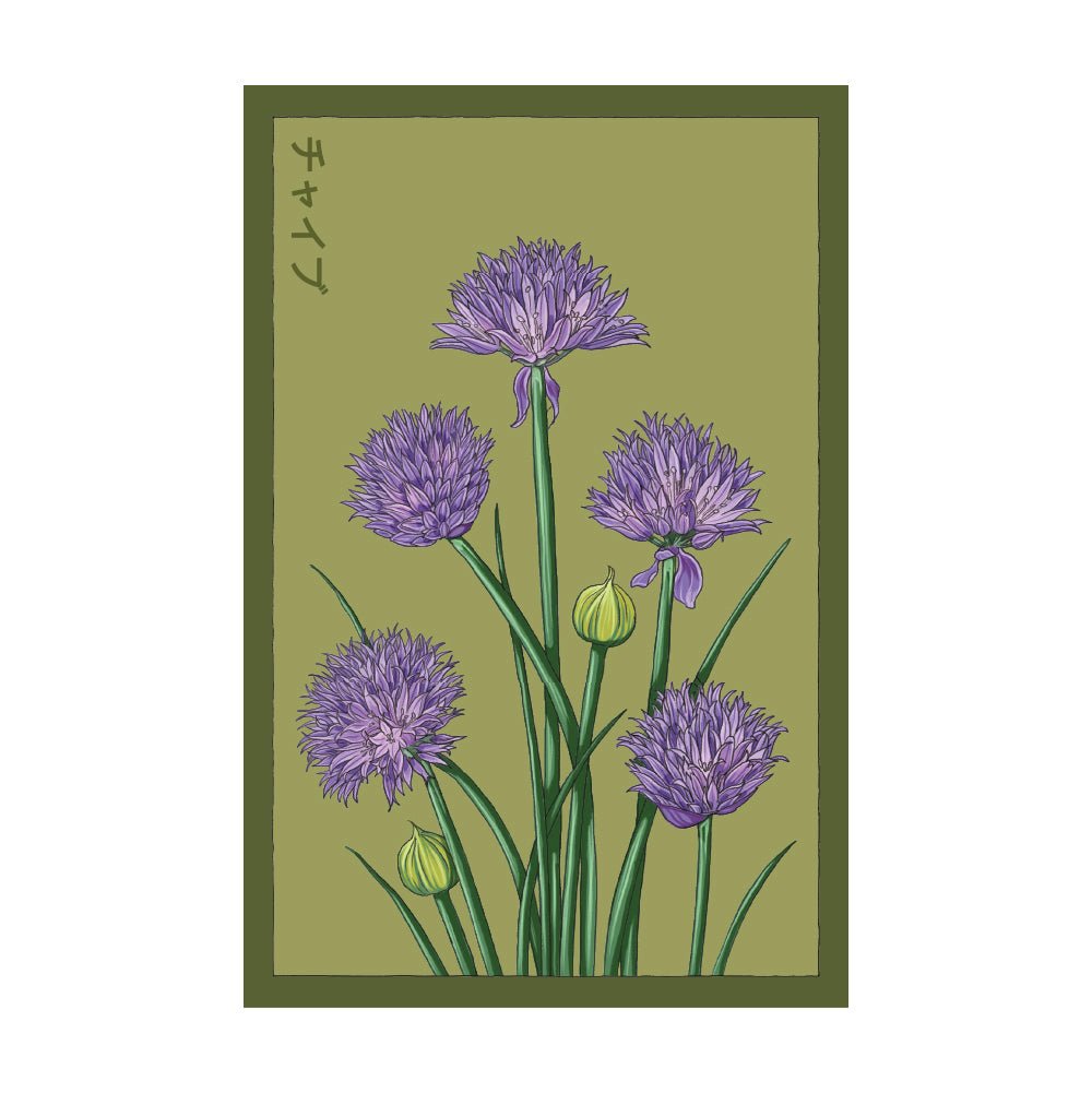 Chives Herb Seeds Packet - Chive Ceramics Studio - Seed Collection - Chive Ceramics Studio