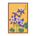 Columbine Flower Seeds Packet - Chive Ceramics Studio - Seeds - Chive Ceramics Studio