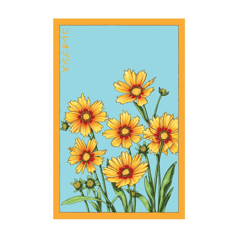 Big Flower Coreopsis Flower Seeds Packet - Chive Ceramics Studio - Seed Collection - Chive Ceramics Studio