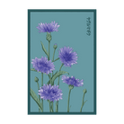 Blue Cornflower Flower Seeds Packet - Chive Ceramics Studio - Seeds - Chive Ceramics Studio