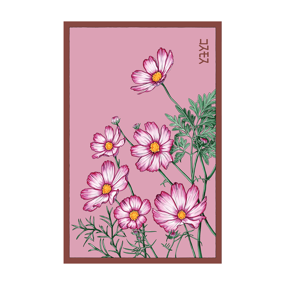 Cosmos Flower Seeds Packet - Chive Ceramics Studio - Seeds - Chive Ceramics Studio