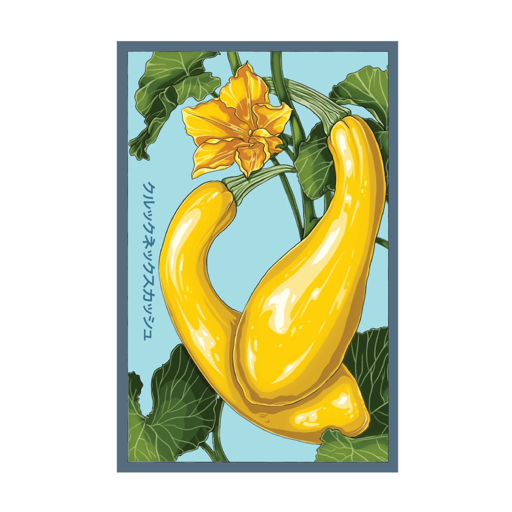 Early Golden Crookneck Squash seed packet - Shido Seeds non-GMO woodblock design