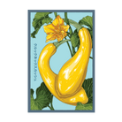 Early Golden Crookneck Squash Vegetable Seeds Packet - Chive Ceramics Studio - Seeds - Chive Ceramics Studio