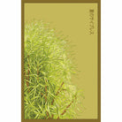 Summer Cypress Flower Seeds Packet - Chive Ceramics Studio - Chive US