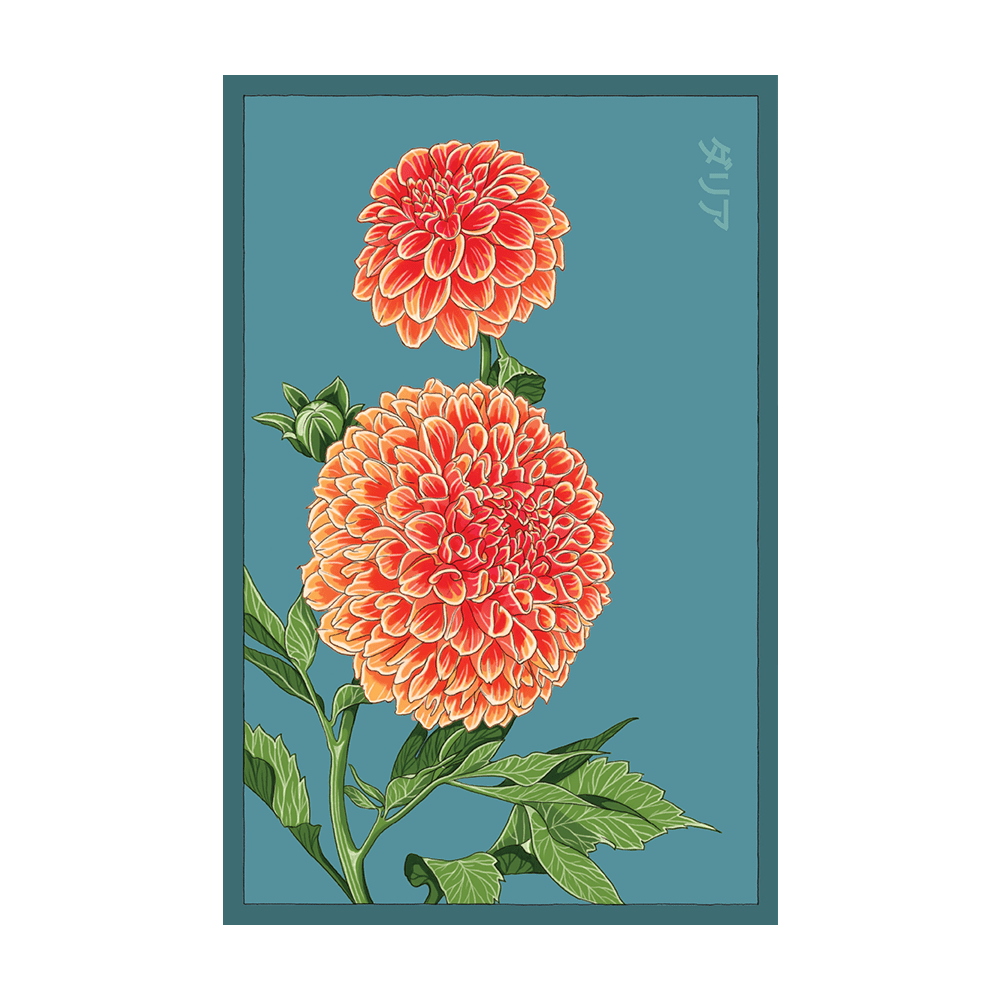 Dahlia Flower Seeds Packet - Chive Ceramics Studio - Seeds - Chive Ceramics Studio