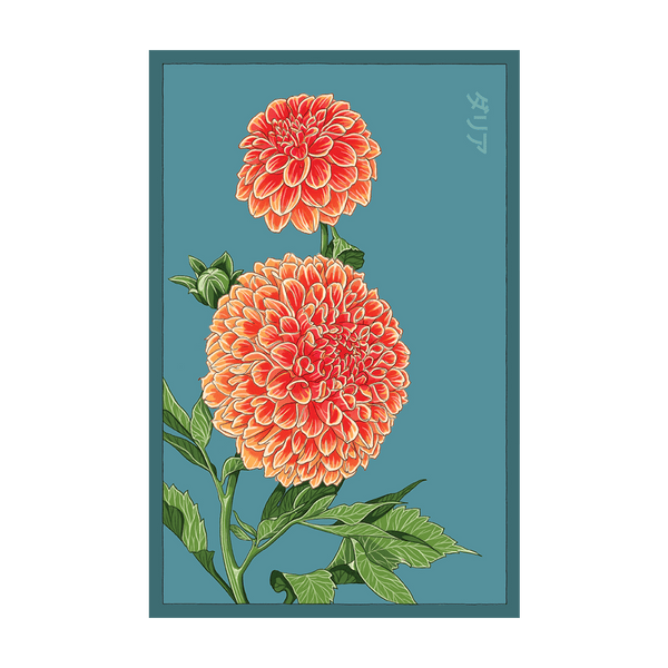 Dahlia Flower seed packet - Shido Seeds non-GMO vacuum-sealed woodblock design