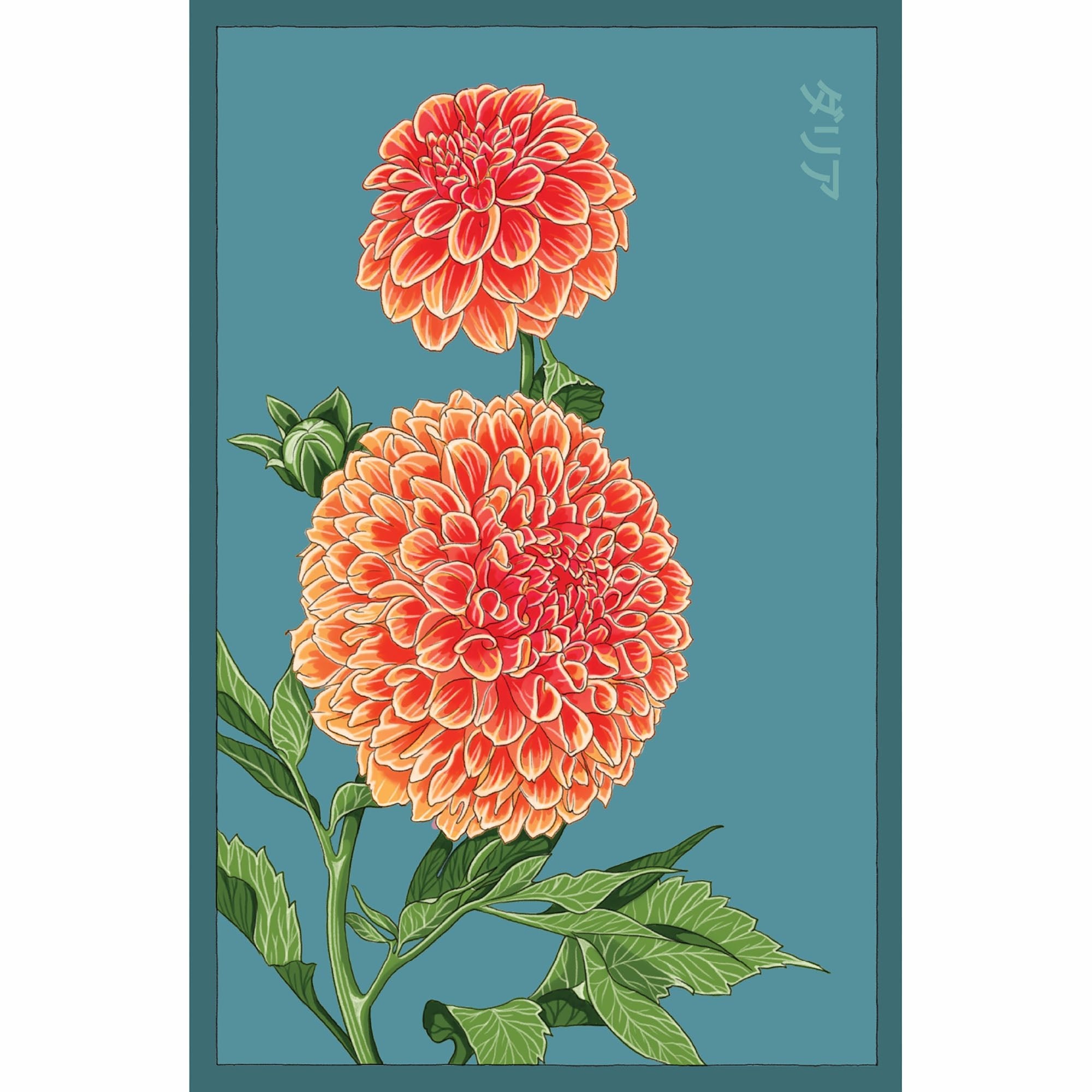 Dahlia Flower Seeds Packet - Chive Ceramics Studio - Chive US