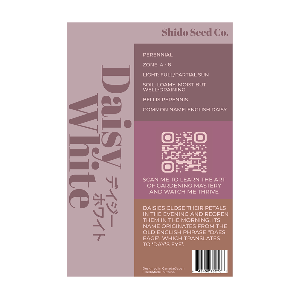 Shido Seeds Daisy Flower Seeds - Thumbnail 3