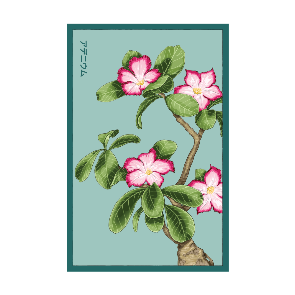 Desert Rose indoor seed packet - Shido Seeds non-GMO vacuum-sealed woodblock design