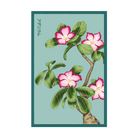 Desert Rose Indoor Seeds Packet - Chive Ceramics Studio - Seeds - Chive Ceramics Studio