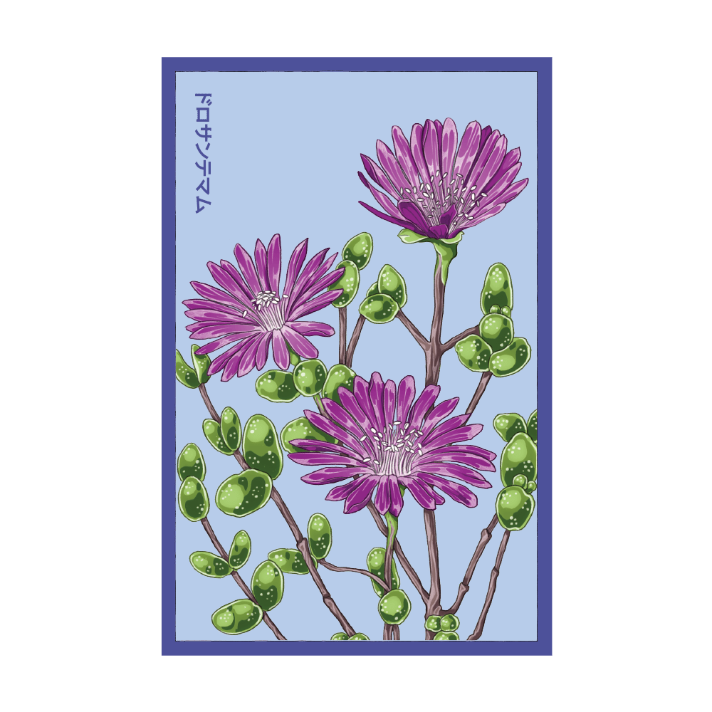 Dewflower seed packet - Shido Seeds non-GMO vacuum-sealed woodblock design
