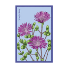 Dewflower Flower Seeds Packet - Chive Ceramics Studio - Seeds - Chive Ceramics Studio