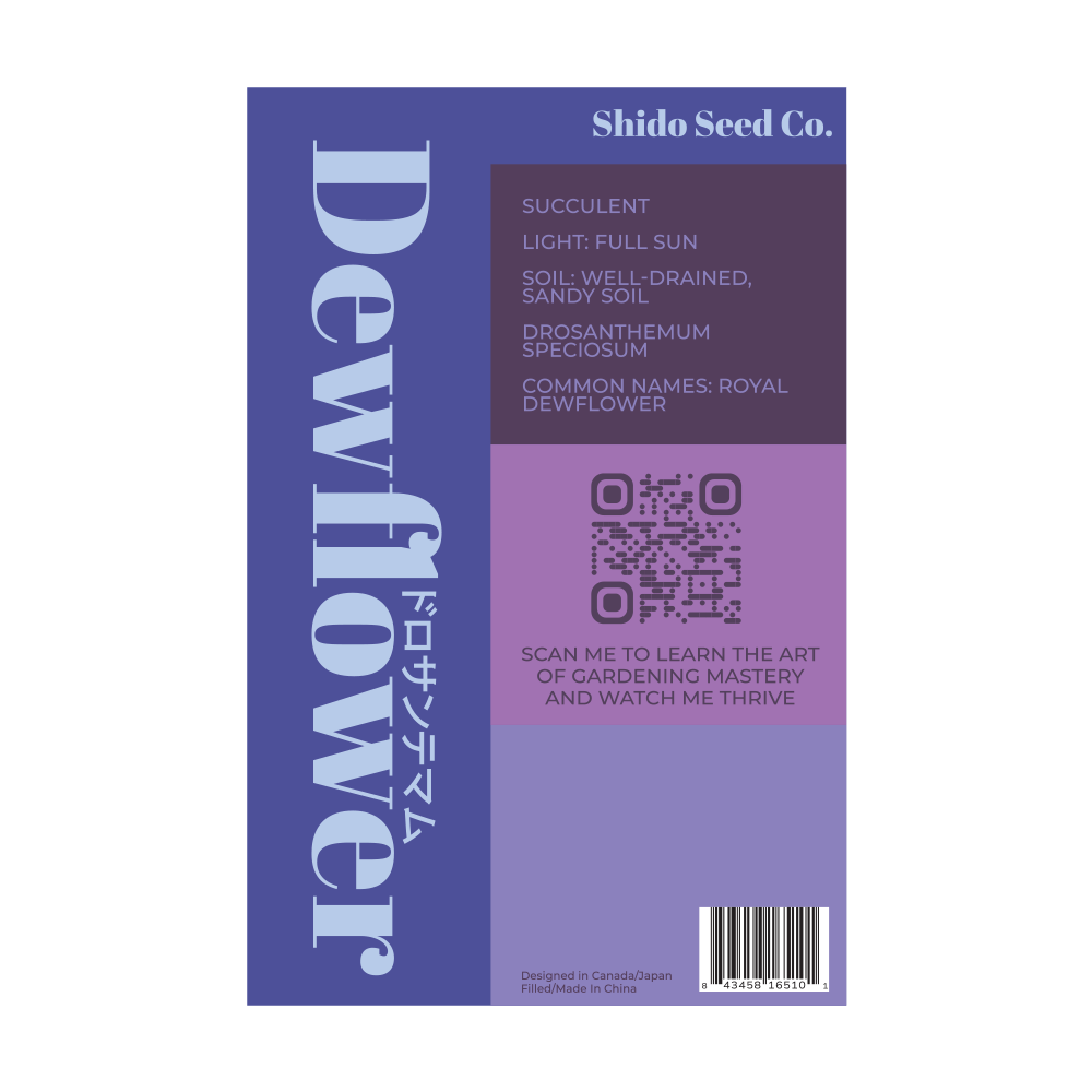 Dewflower Flower Seeds Packet - Chive Ceramics Studio - Seeds - Chive Ceramics Studio