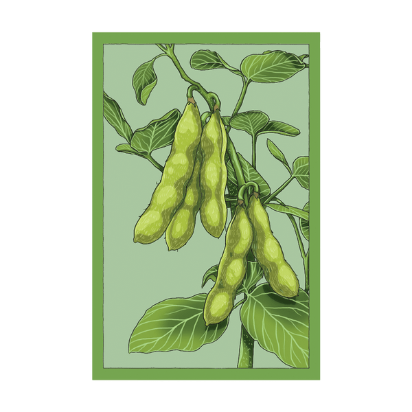 plant edamame seeds Edamame Vegetable Seeds | Non-GMO, Vacuum-Sealed