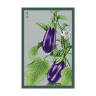 Eggplant Vegetable Seeds Packet - Chive Ceramics Studio - Seed Collection - Chive Ceramics Studio