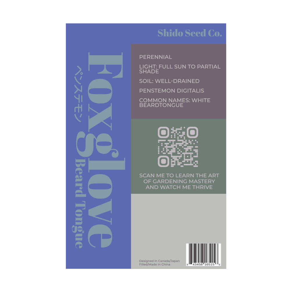 Foxglove Beard Tongue Flower Seeds Packet - Chive Ceramics Studio - Seeds - Chive Ceramics Studio