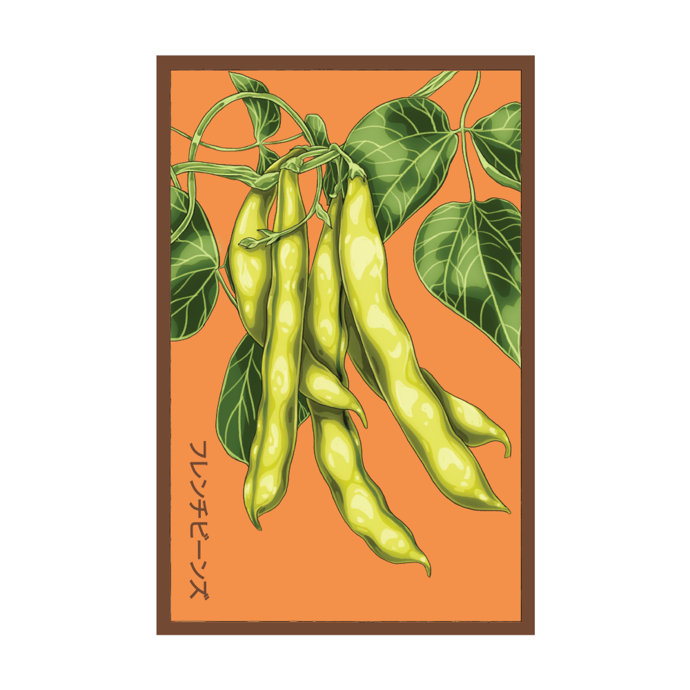 French Beans seed packet - Shido Seeds non-GMO vacuum-sealed woodblock design