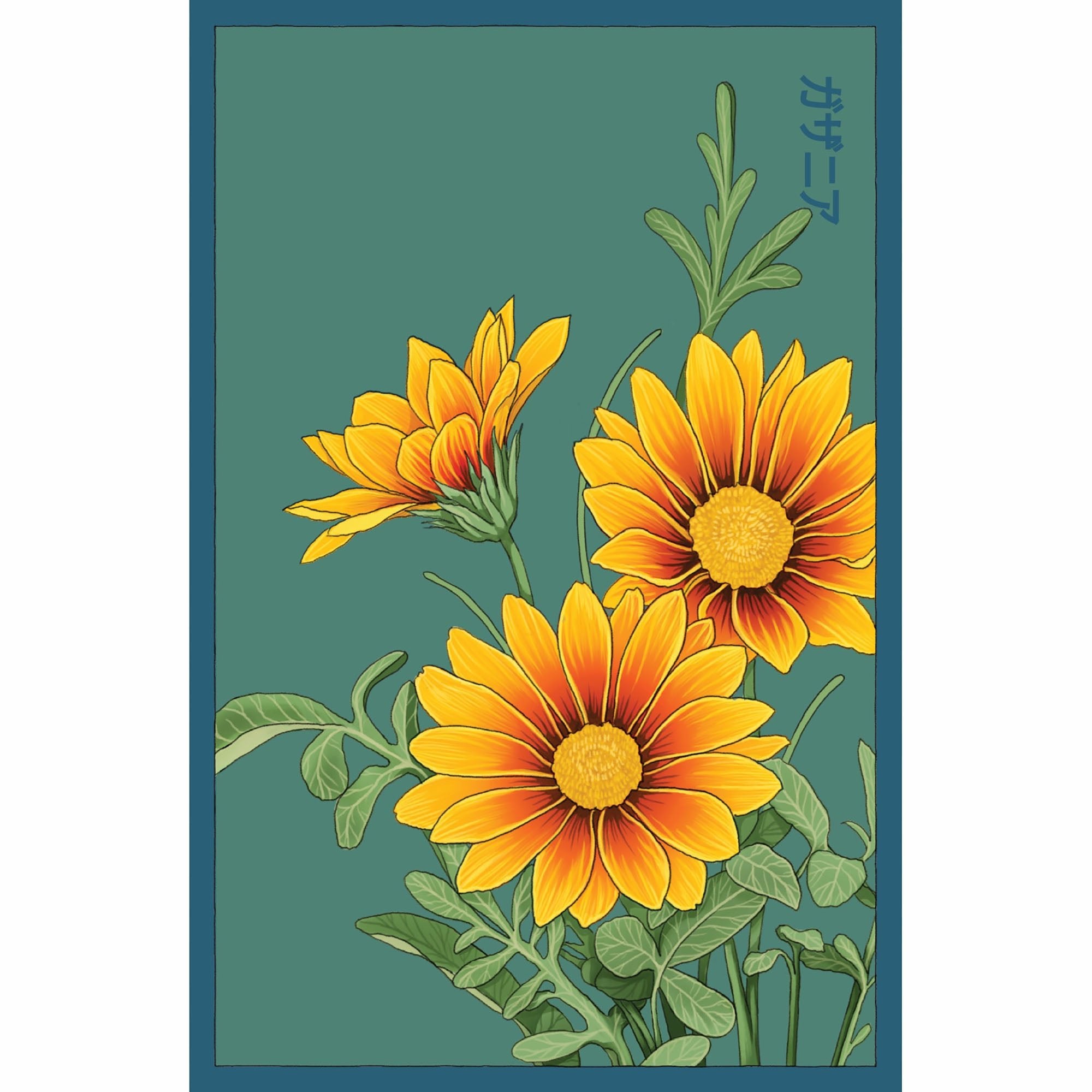 Gazania Flower Seeds Packet - Chive Ceramics Studio - Chive US