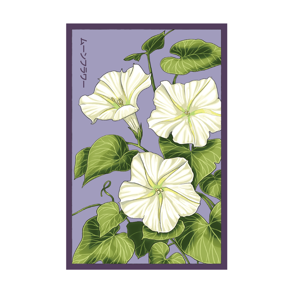 Giant Moonflower seed packet - Shido Seeds non-GMO vacuum-sealed woodblock design
