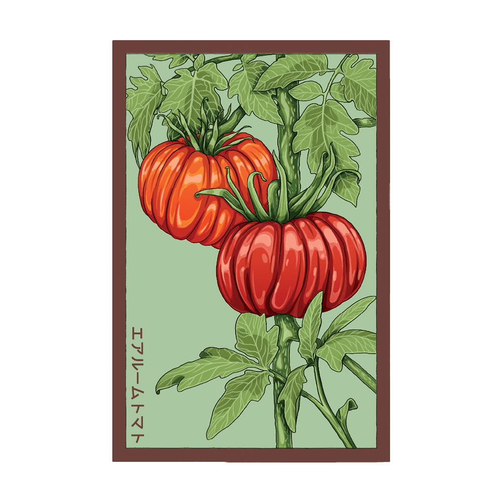 Heirloom Tomato Vegetable Seeds Packet - Chive Ceramics Studio - Seeds - Chive Ceramics Studio