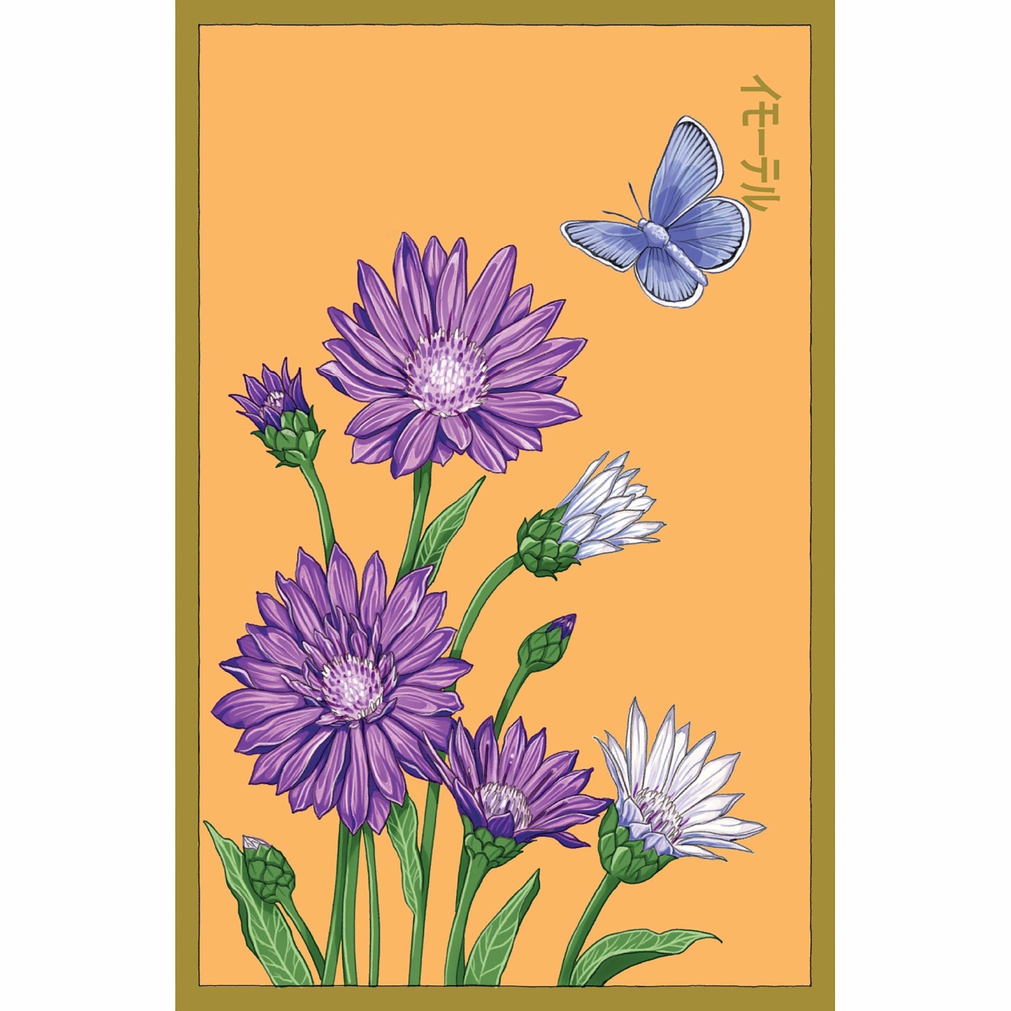 Immortelle Flower Seeds Packet - Chive Ceramics Studio - Chive US