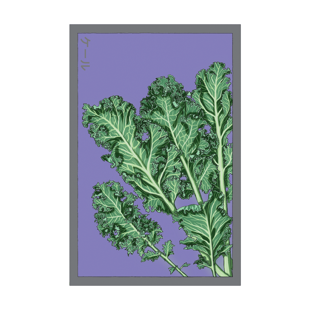 Kale Vegetable Seeds Packet - Chive Ceramics Studio - Seeds - Chive Ceramics Studio