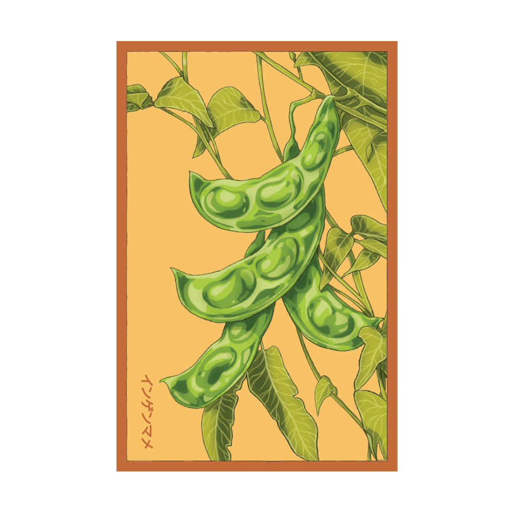 King of the Garden Bean seed packet - Shido Seeds non-GMO vacuum-sealed woodblock design