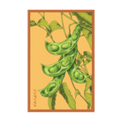 King of the Garden Bean Vegetable Seeds Packet - Chive Ceramics Studio - Seeds - Chive Ceramics Studio