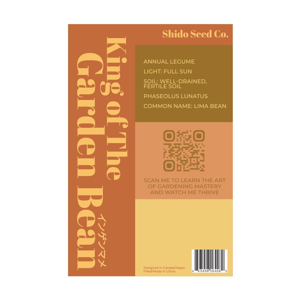 King of the Garden Bean Vegetable Seeds Packet - Chive Ceramics Studio - Seeds - Chive Ceramics Studio