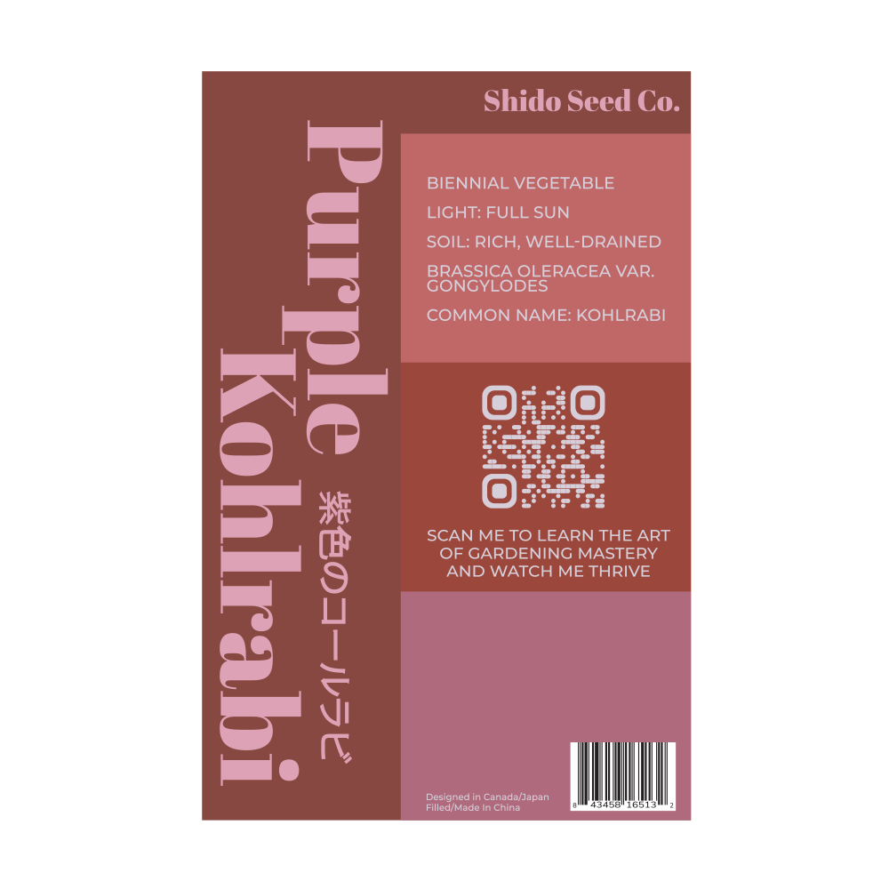 Kohlrabi Purple Delicacy Vegetable Seeds Packet - Chive Ceramics Studio - Seeds - Chive Ceramics Studio