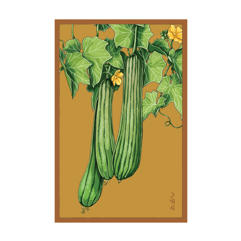 Luffa Sponge seed packet - Shido Seeds non-GMO vacuum-sealed woodblock design