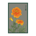 French Marigold Flower Seeds Packet - Chive Ceramics Studio - Seeds - Chive Ceramics Studio