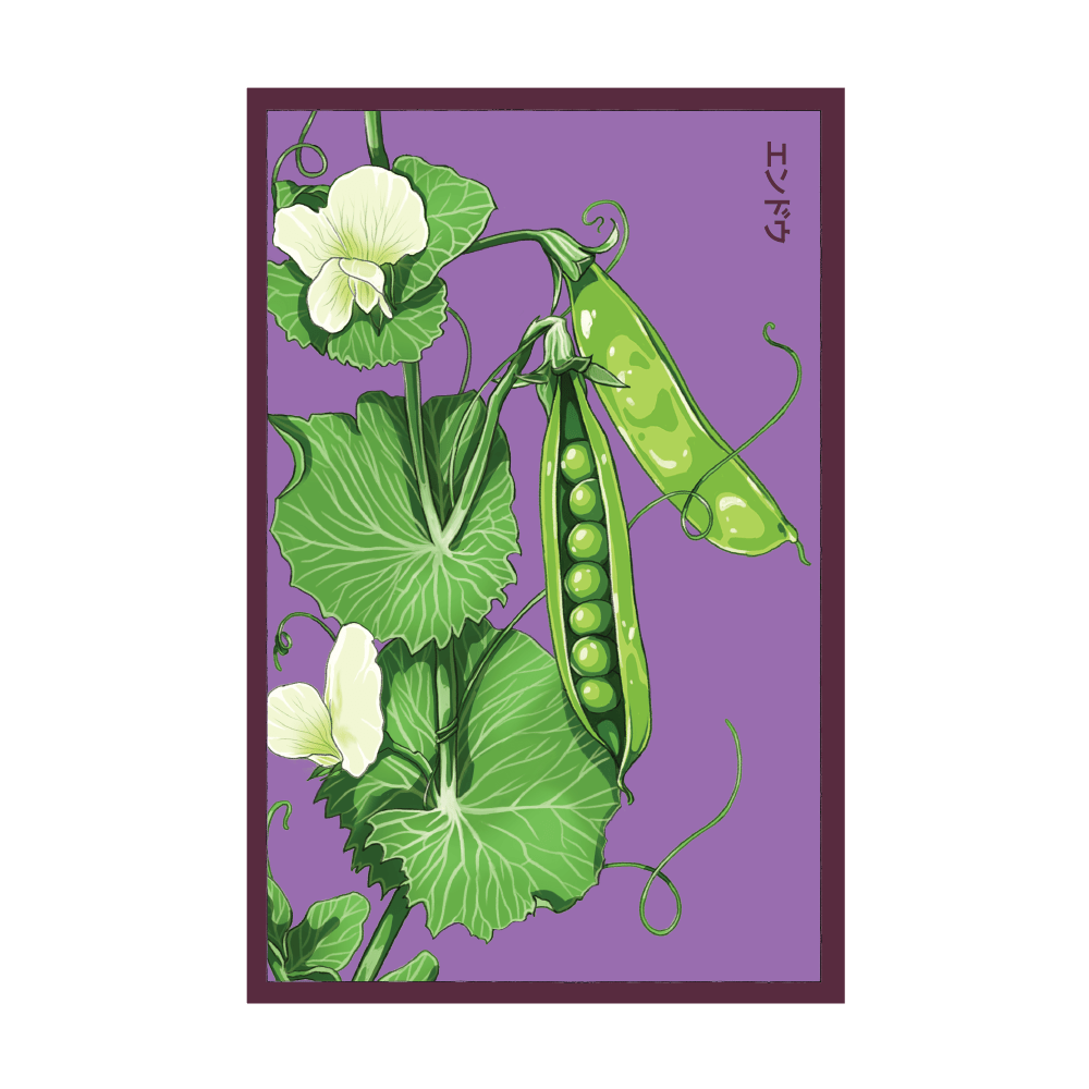 Little Marvel Peas seed packet - Shido Seeds non-GMO vacuum-sealed woodblock design