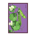 Little Marvel Peas Vegetable Seeds Packet - Chive Ceramics Studio - Seeds - Chive Ceramics Studio