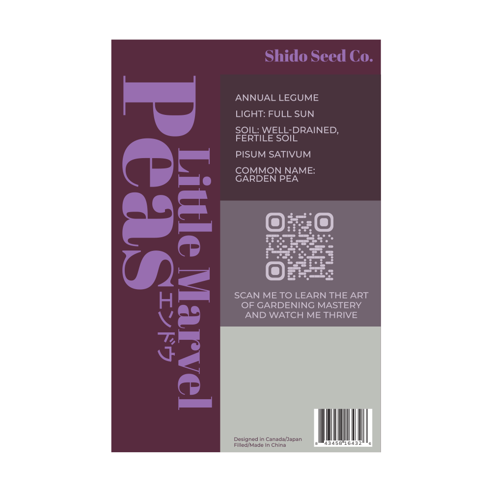 Little Marvel Peas Vegetable Seeds Packet - Chive Ceramics Studio - Seeds - Chive Ceramics Studio