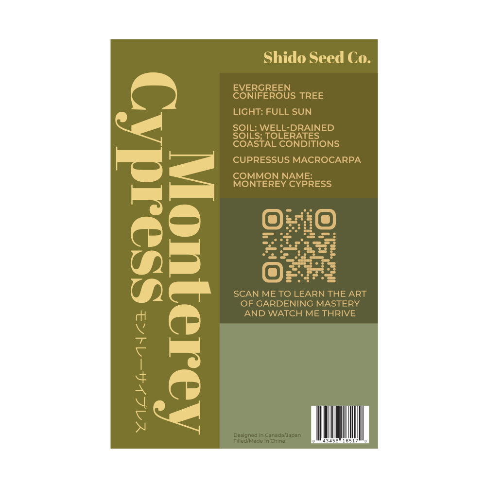 Monterey Cypress Flower Seeds Packet - Chive Ceramics Studio - Seeds - Chive Ceramics Studio