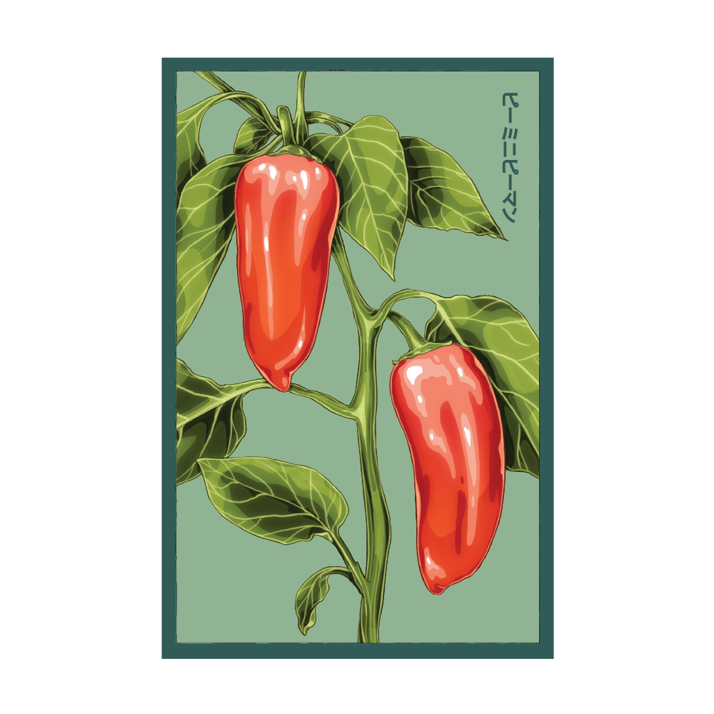 Mini Sweet Peppers vacuum-sealed seed packet - Shido Seeds non-GMO Japanese woodblock design