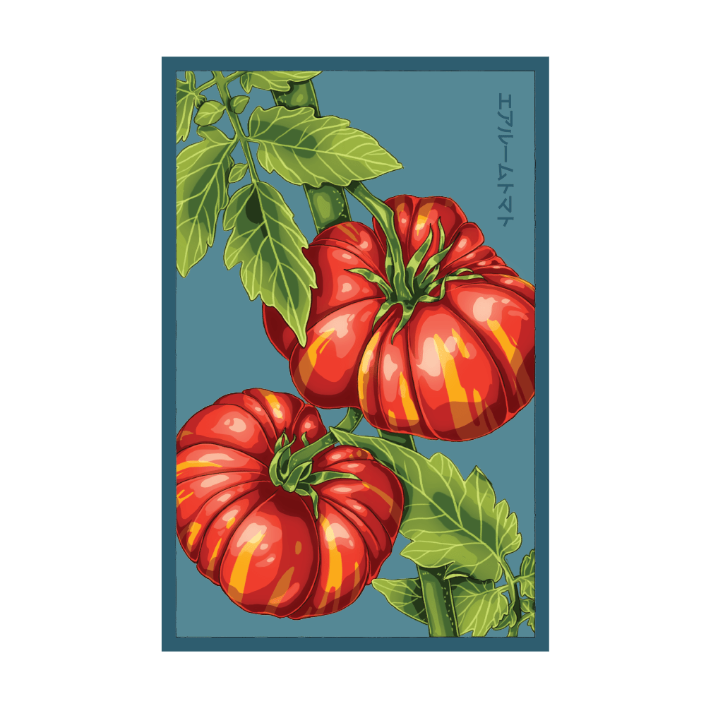 Old German Heirloom Tomato seed packet - Shido Seeds non-GMO woodblock design